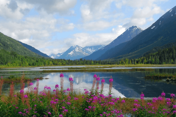 Moose Pass Image