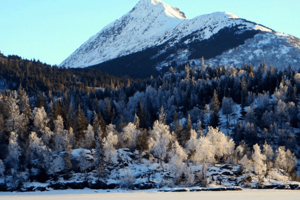 Moose Pass Image