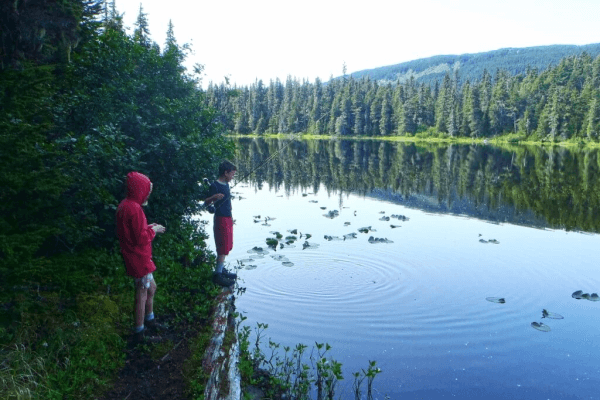 Moose Pass Image